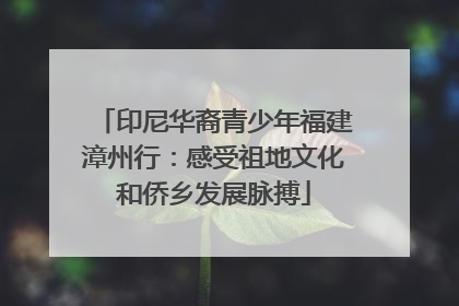 印尼华裔青少年福建漳州行：感受祖地文化和侨乡发展脉搏