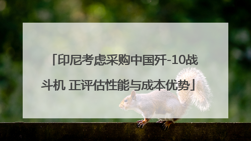 印尼考虑采购中国歼-10战斗机 正评估性能与成本优势