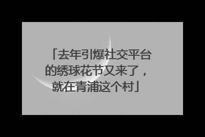 去年引爆社交平台的绣球花节又来了，就在青浦这个村