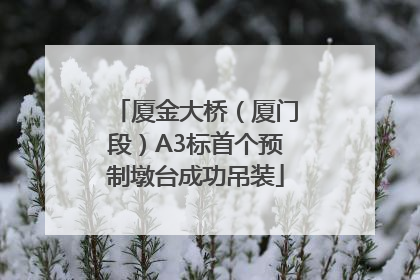 厦金大桥（厦门段）A3标首个预制墩台成功吊装