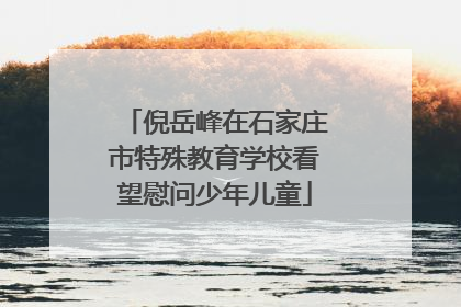 倪岳峰在石家庄市特殊教育学校看望慰问少年儿童