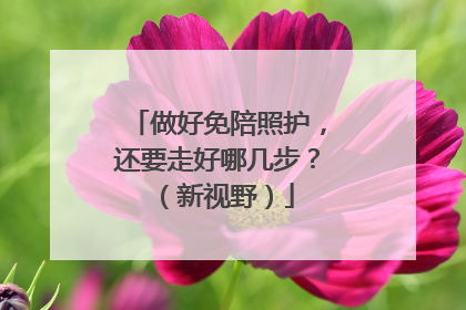 做好免陪照护，还要走好哪几步？（新视野）