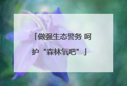 做强生态警务 呵护“森林氧吧”