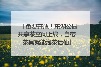 免费开放！东湖公园共享茶空间上线，自带茶具就能泡茶话仙