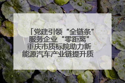 党建引领“全链条” 服务企业“零距离” 重庆市质标院助力新能源汽车产业链提升质量管理水平