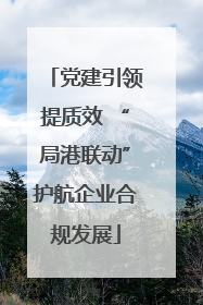 党建引领提质效 “局港联动”护航企业合规发展