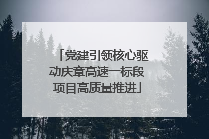 党建引领核心驱动庆章高速一标段项目高质量推进