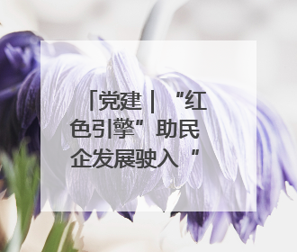 党建｜“红色引擎”助民企发展驶入“快车道”
