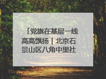 党旗在基层一线高高飘扬｜北京石景山区八角中里社区党委：用脚步丈量民生