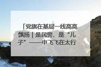 党旗在基层一线高高飘扬｜是民警、是“儿子”——申飞飞在太行山中的一线坚守