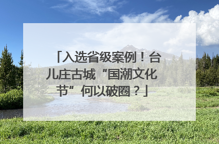 入选省级案例！台儿庄古城“国潮文化节”何以破圈？