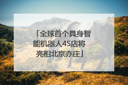 全球首个具身智能机器人4S店将亮相北京亦庄