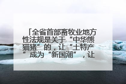全省首部畜牧业地方性法规是关于“中华熊猫猪”的，让“土特产”成为“新国潮”，让“农产品”升格为“城市IP”