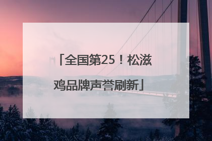全国第25！松滋鸡品牌声誉刷新
