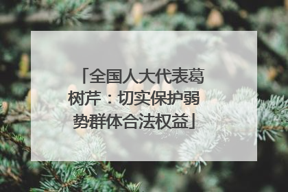 全国人大代表葛树芹：切实保护弱势群体合法权益