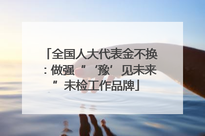 全国人大代表金不换：做强“‘豫’见未来”未检工作品牌