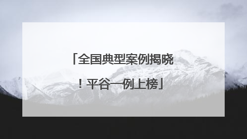 全国典型案例揭晓！平谷一例上榜