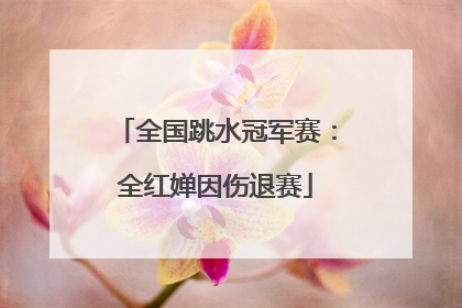 全国跳水冠军赛：全红婵因伤退赛