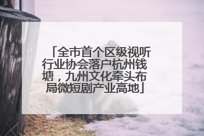 全市首个区级视听行业协会落户杭州钱塘，九州文化牵头布局微短剧产业高地