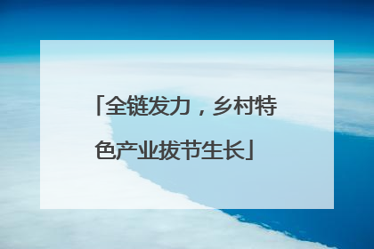 全链发力，乡村特色产业拔节生长