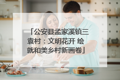 公安县孟家溪镇三袁村：文明花开 绘就和美乡村新画卷