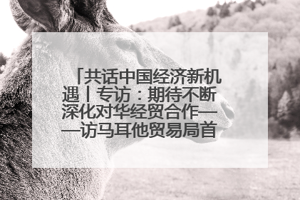 共话中国经济新机遇丨专访：期待不断深化对华经贸合作——访马耳他贸易局首席执行官布蒂吉格