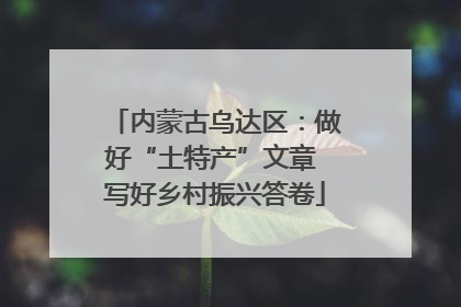 内蒙古乌达区：做好“土特产”文章 写好乡村振兴答卷