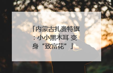 内蒙古扎赉特旗：小小黑木耳 变身“致富花”