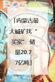 内蒙古最大碱矿找“买家” 储量20.77亿吨