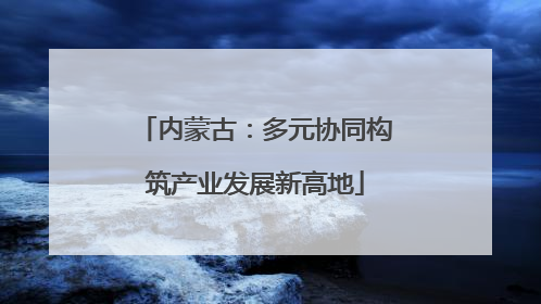 内蒙古：多元协同构筑产业发展新高地