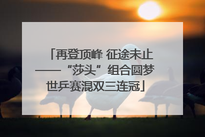再登顶峰 征途未止——“莎头”组合圆梦世乒赛混双三连冠