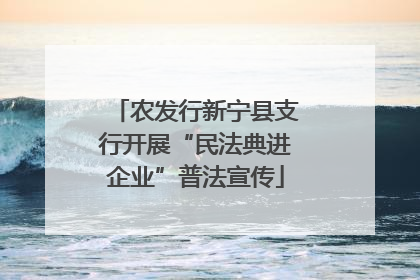 农发行新宁县支行开展“民法典进企业”普法宣传