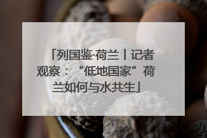 列国鉴·荷兰丨记者观察：“低地国家”荷兰如何与水共生