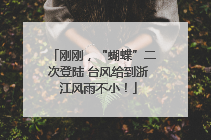 刚刚，“蝴蝶”二次登陆 台风给到浙江风雨不小！