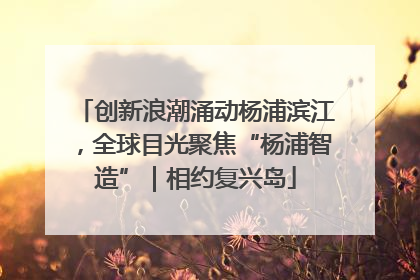 创新浪潮涌动杨浦滨江，全球目光聚焦“杨浦智造”｜相约复兴岛