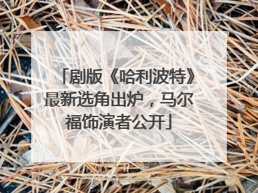 剧版《哈利波特》最新选角出炉，马尔福饰演者公开