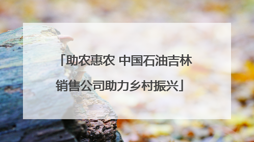助农惠农 中国石油吉林销售公司助力乡村振兴