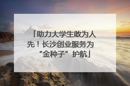 助力大学生敢为人先！长沙创业服务为“金种子”护航