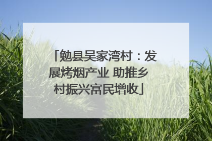 勉县吴家湾村：发展烤烟产业 助推乡村振兴富民增收