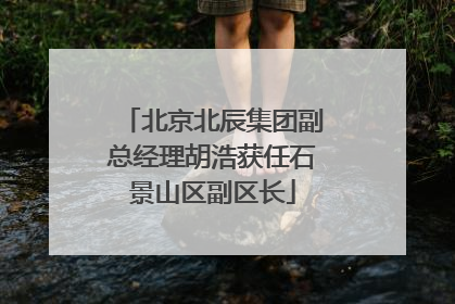 北京北辰集团副总经理胡浩获任石景山区副区长