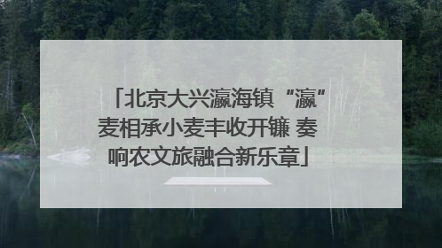 北京大兴瀛海镇“瀛”麦相承小麦丰收开镰 奏响农文旅融合新乐章