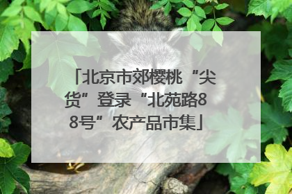 北京市郊樱桃“尖货”登录“北苑路88号”农产品市集