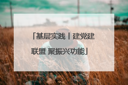 基层实践丨建党建联盟 聚振兴功能