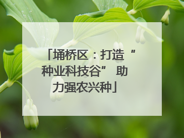 埇桥区：打造“种业科技谷” 助力强农兴种