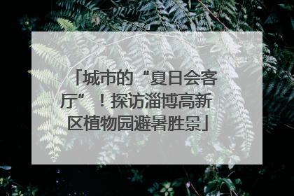 城市的“夏日会客厅”！探访淄博高新区植物园避暑胜景
