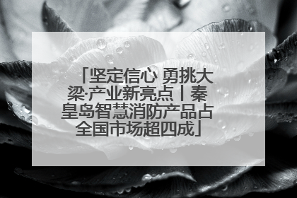 坚定信心 勇挑大梁·产业新亮点丨秦皇岛智慧消防产品占全国市场超四成