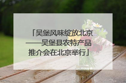 吴堡风味绽放北京——吴堡县农特产品推介会在北京举行