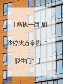 各执一词 加沙停火方案陷“罗生门”