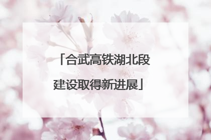 合武高铁湖北段建设取得新进展