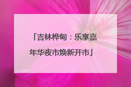 吉林桦甸：乐享嘉年华夜市焕新开市
